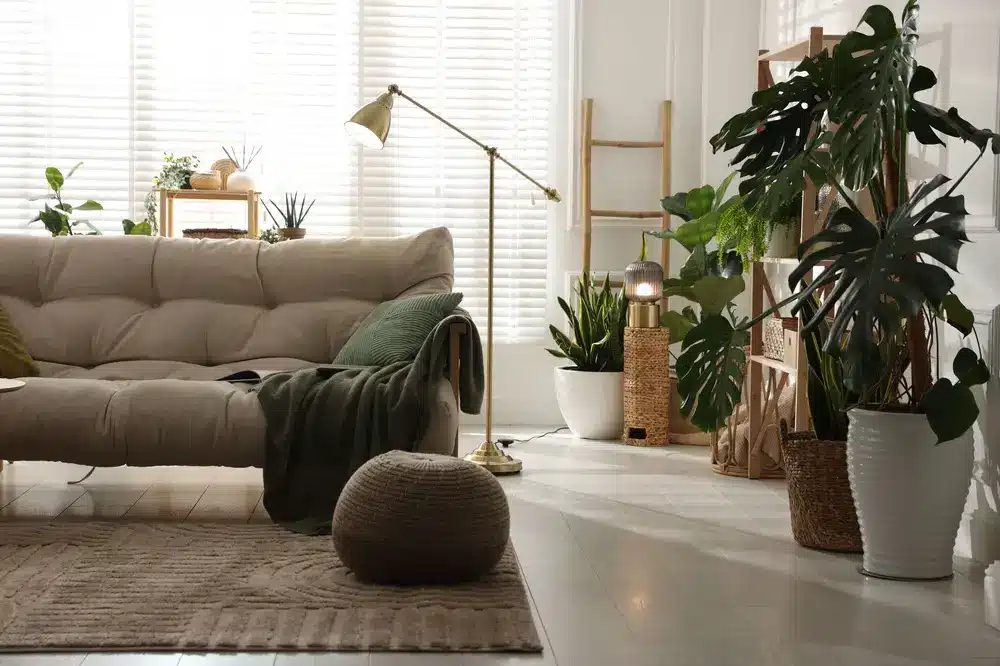 Un salon chaleureux avec un canapé beige, un plaid vert, un lampadaire et de nombreuses plantes. Les tons neutres et la lumière naturelle créent une atmosphère sereine et accueillante.
